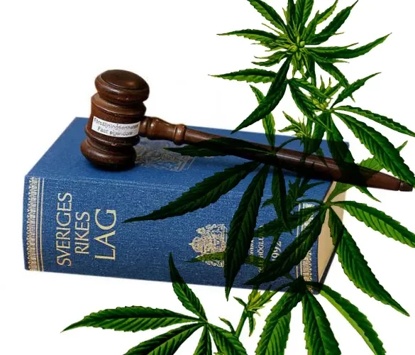 Är cannabis olagligt i Sverige?